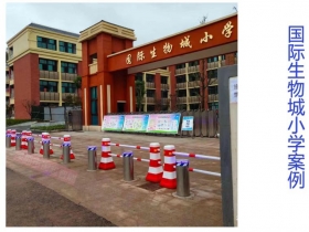 國(guó)際生物城小學(xué)升降柱現(xiàn)場(chǎng)案例