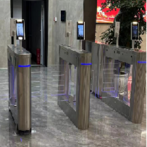 網(wǎng)紅款無刷防撞快速小擺閘-GCZN-ZHA148